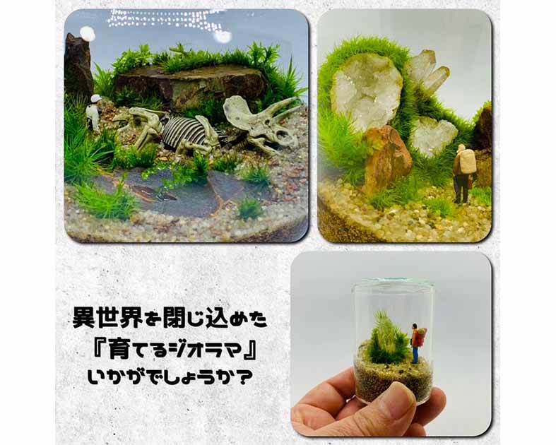 Element Earth