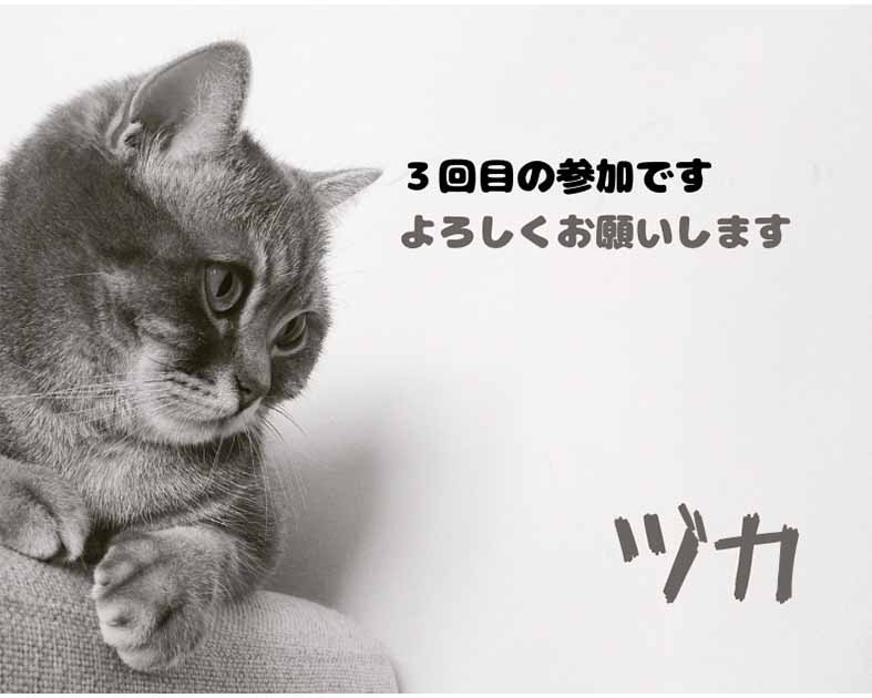 ヅカ