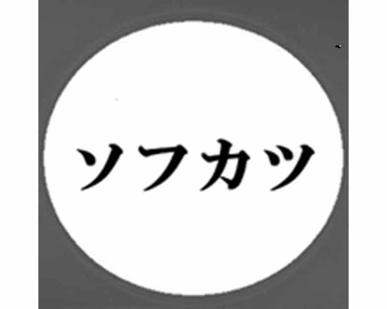 SOFVIKATSUDOU