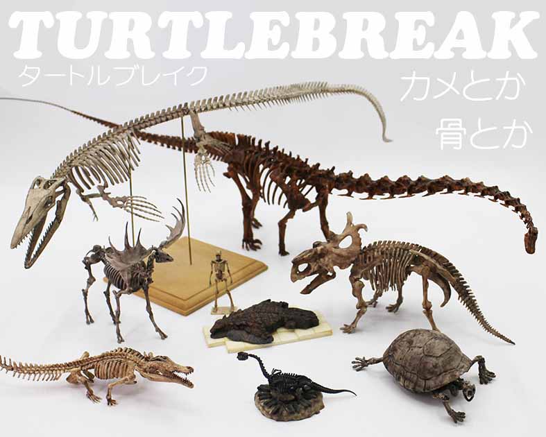 タートルブレイク