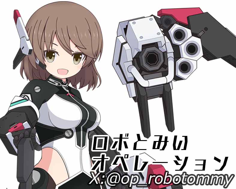 ロボとみいオペレーション