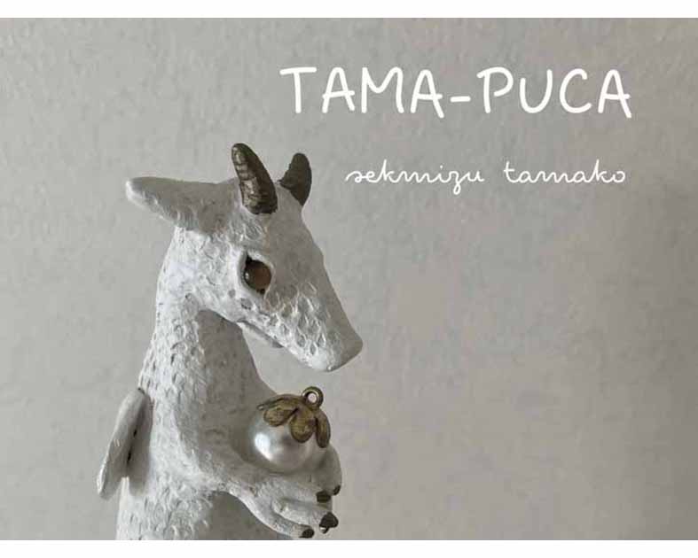 TAMA-PUCA