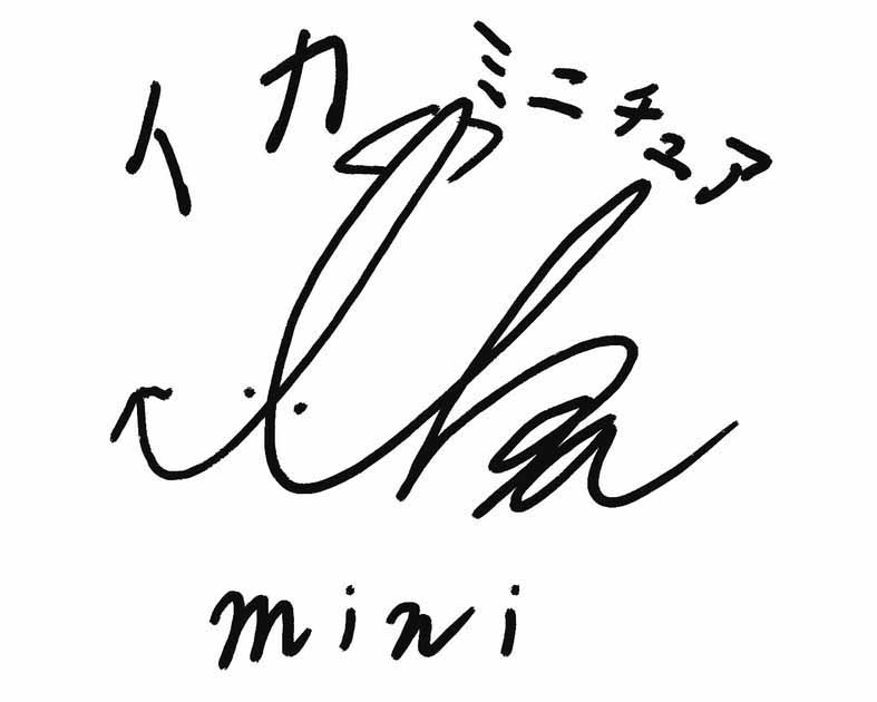 ika miniature