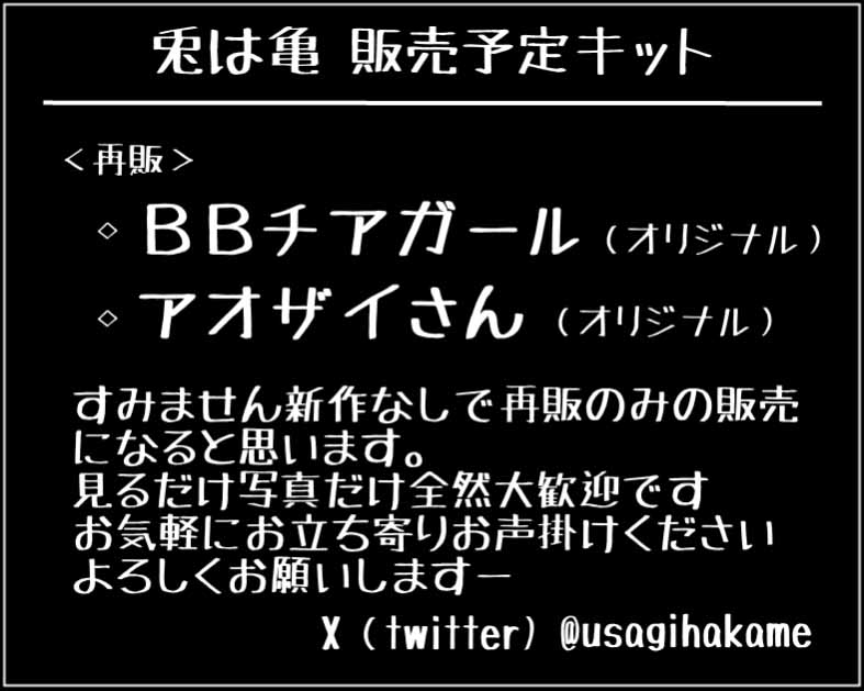 兎は亀